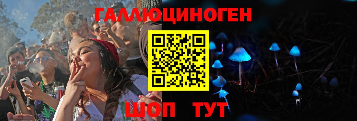 Галлюциногенные грибы мухоморы Лесной